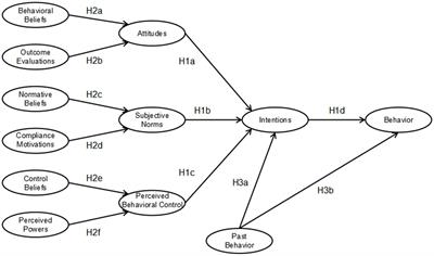 Exploring adolescent participation in football: a gender-differentiated structural equation model based on the theory of planned behavior